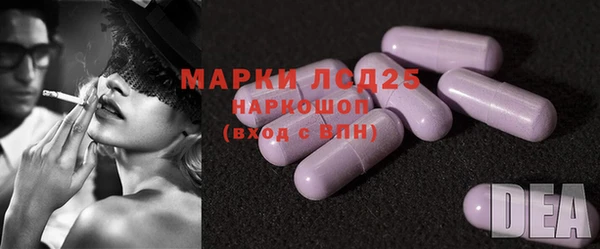 ГАЛЛЮЦИНОГЕННЫЕ ГРИБЫ Вяземский